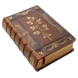 Imagen PNG para descargar